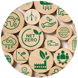 wood disks with environmental awareness symbol